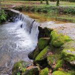 IMG_20241017_113831